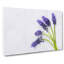 Grape Hyacinth Flower Painting - Wrapped Canvas-56656090