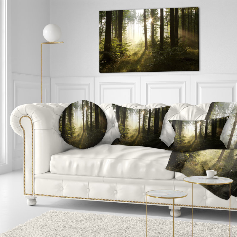 Coussin lombaire en misty forest landscape the early matin sun in