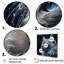 «Nebelung Cat Nightfall Portrait I», reproduction d'art mural-95895264-95895263