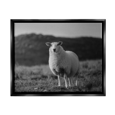 «Gracie Oaks Sheep In Country Country Field», art mural encadré par Thomas Tepstad Berge