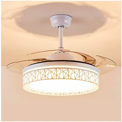Tasmine 42'' Ceiling Fan with LED Lights