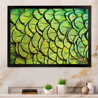 Green Peacock Feathers - Print on Canvas