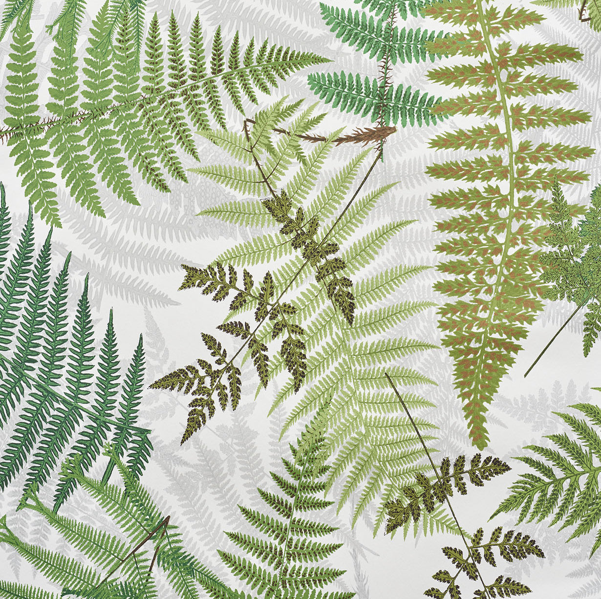 Schumacher x Clements Ribeiro Fernarium Wallpaper | Wayfair