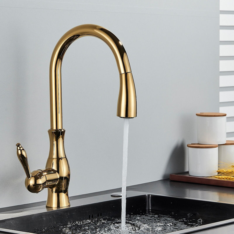 Fairmont Park Osterdock Pull Out Kitchen Faucet