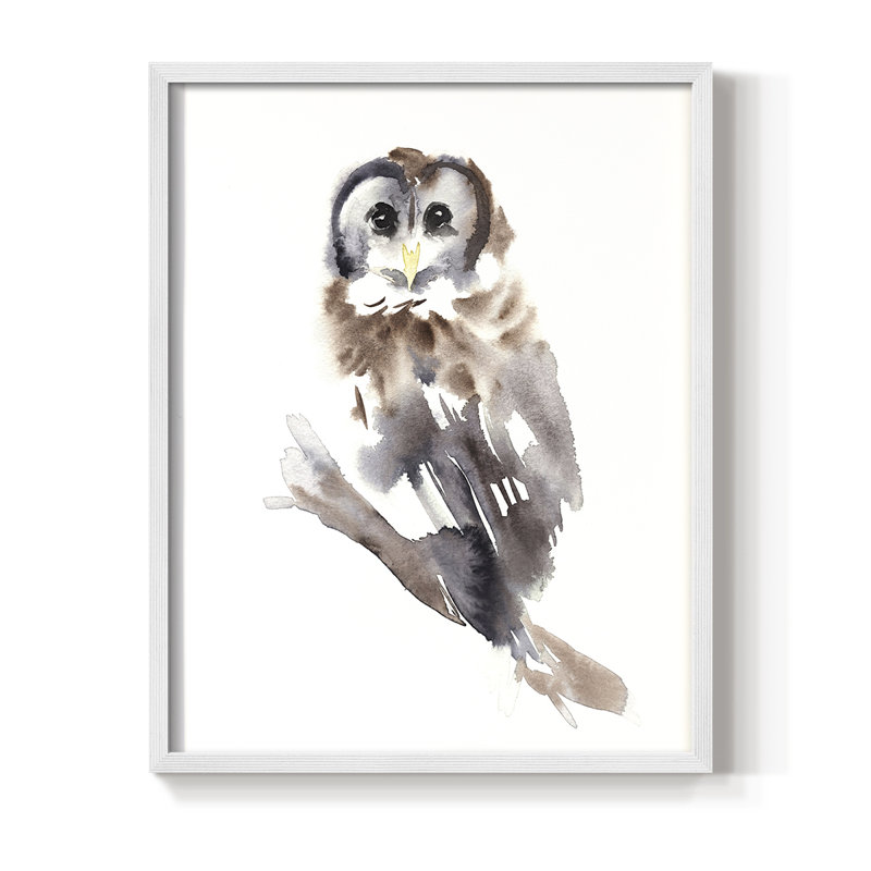 Impression encadrée Barred Owl Impressions II - bois massif, Blanc, H 10 po x l 8 po