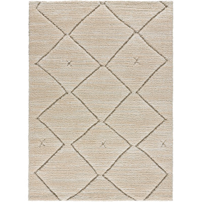 Rectangle Geometric Shaggy Area Rug
