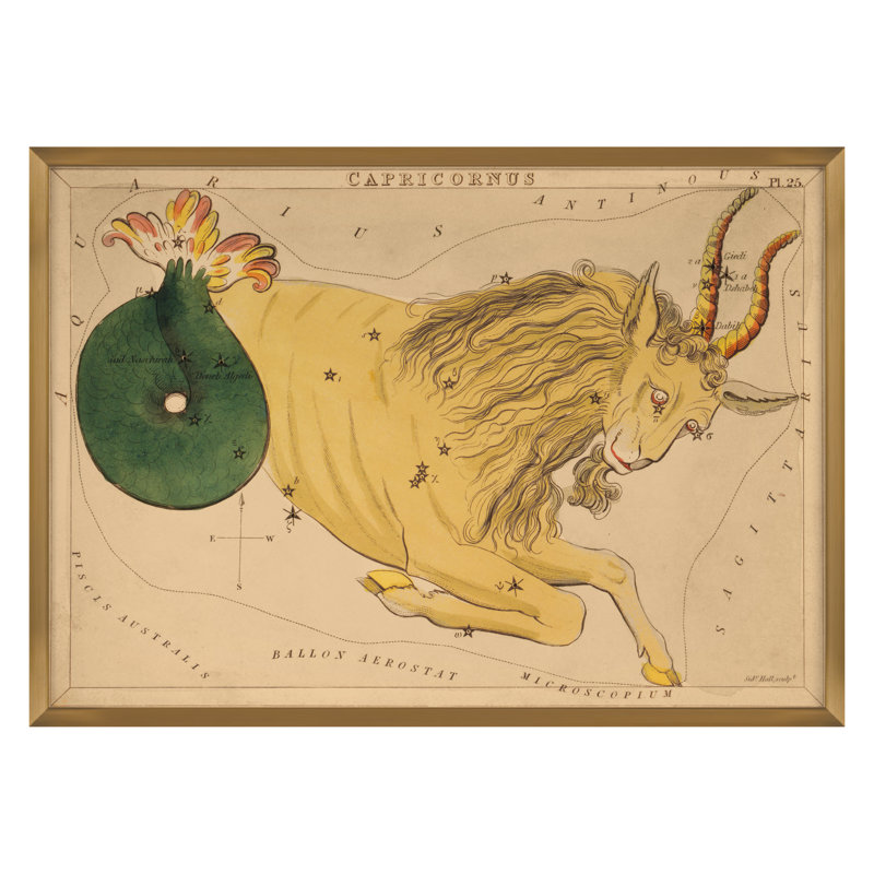 Capricornus Print by Grand Archives, Gold Framed, 32" H x 45" W