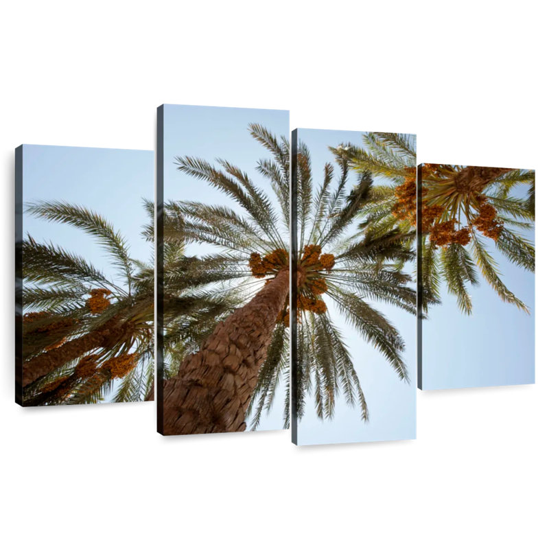 Harnek Under The Date Palm Trees