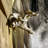 Cursed Wedding Haunted Hill Farm 5.9 ft. Motion-Sensor Lurching Woman Halloween Animatronic by Tekky