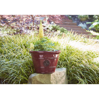 15.25" Modesto Resin Planter