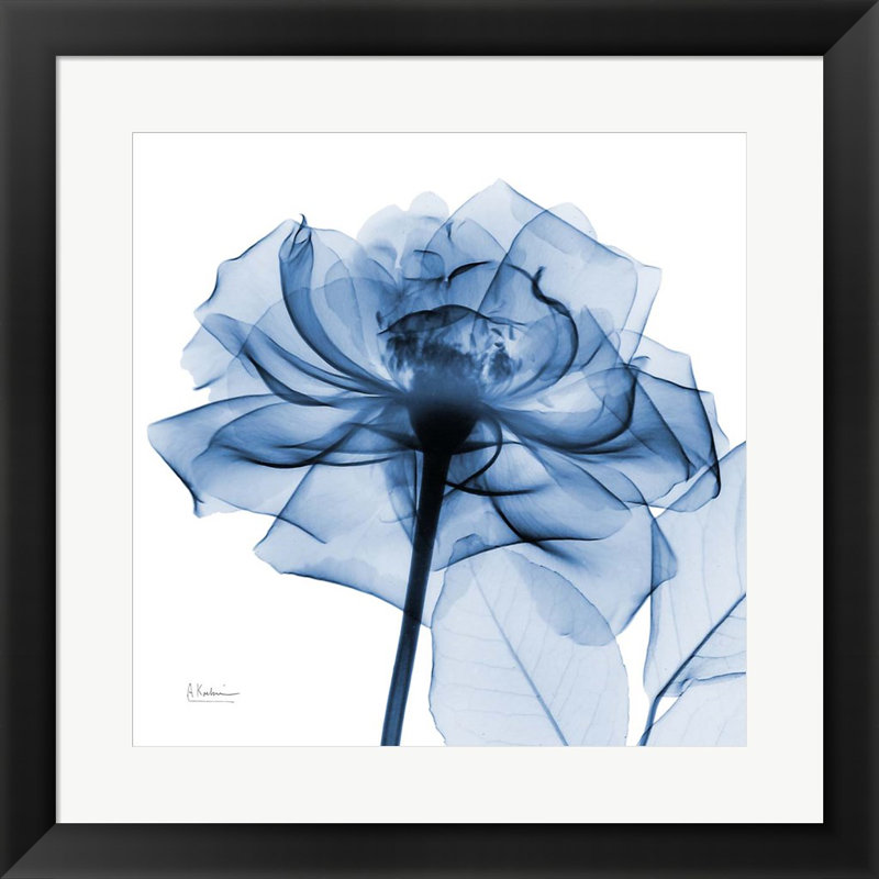 «Indigo Rose» par Albert Koetsier - Cadre photo unique, impression