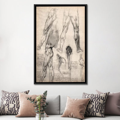 " Sketchbook Studies Of Human Legs " by Leonardo Da Vinci