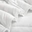  Couverture -263528498-263528500