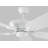 Jacobi 52'' Ceiling Fan with LED Lights-1788204790