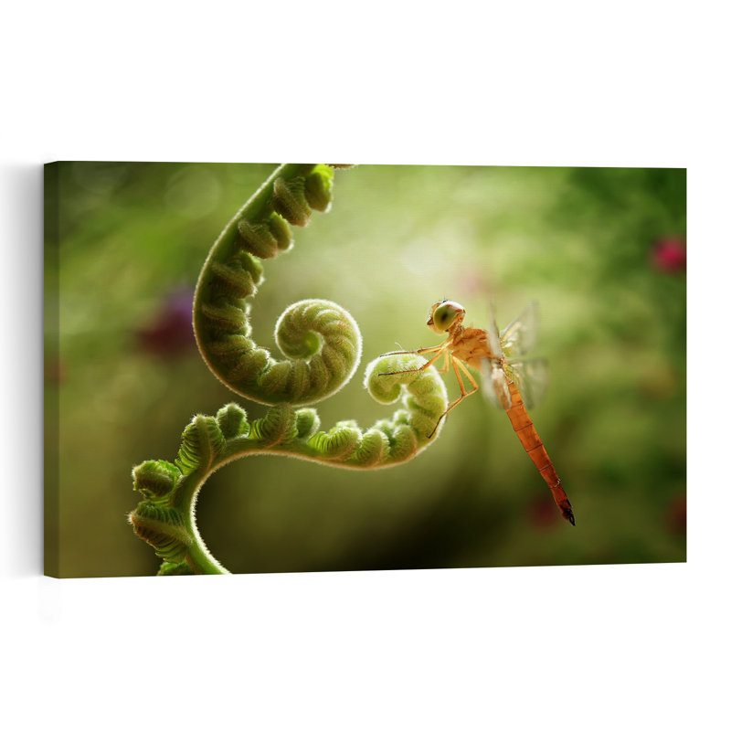 Dragonfly On Fern Spiral Delicate Peaceful Vibrant Dragonfly Fern Nature Summer Wall Art Print by Abdul Gapur Dayak - Print