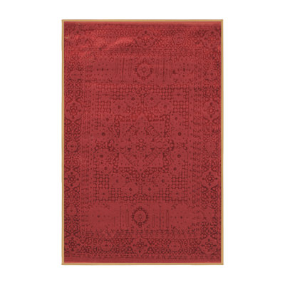 Washable Oriental Indoor Rug