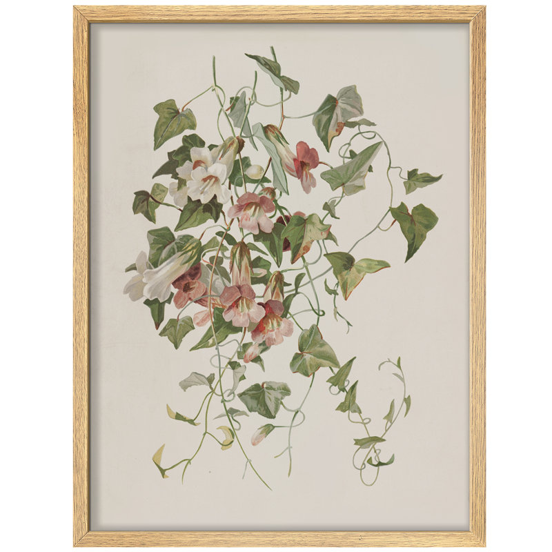 "Modern Morning Glory, H 16 po x l 12 po, Naturel