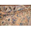 Tapis traditionnel rétro 5 x 11