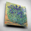 «Irises in Bloom I» par Tim O'Toole, art mural en verre acrylique-1349256586