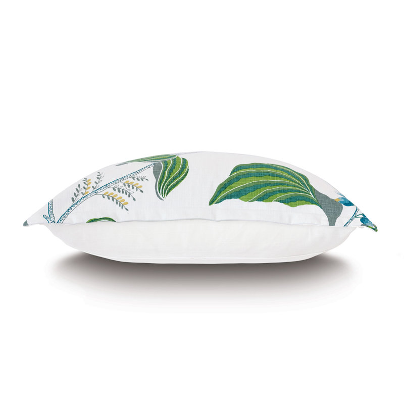 Clementine Sham, Standard