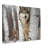 Grey Wolf Print - Wildlife Animal Wall Art - Wolf Portrait Canvas Poster - Forest Nature Artwork - Rustic Cabin Lodge Decor - Scenic Animal Wall Hanging - Modern Home Decoration Art Print-1706569924-1706569925
