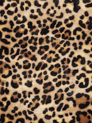 Wrapped Canvas Print, 81.28 cm H x 121.92 cm W