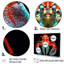 Photo de crevette mante rouge et turquoise sur toile-1788565787-1788565784