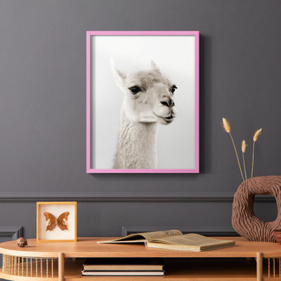 Soft Llama Framed Print - Solid Wood