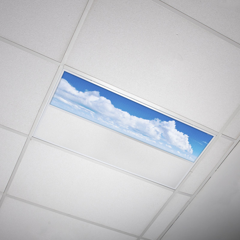 Cloud Rectangle Fixture Component Ceiling Light