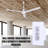 Dupre 56'' Ceiling Fan