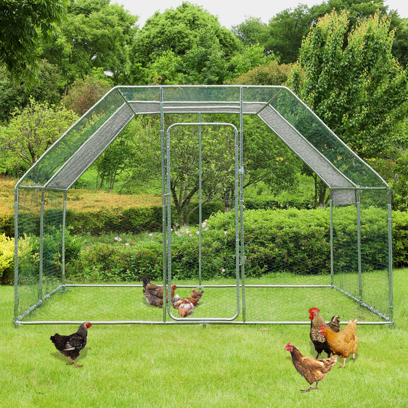 Adriell Walk In Chicken Run, H 79 po x l 118 po x P 121 po