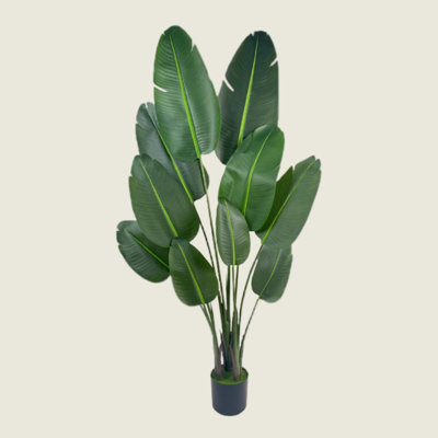 Arbre en pot