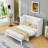 Murphy Bed with Multifunctional Storage and Elegant Design-1959172605-1952297857