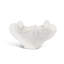 Coral Bowl, Matte White