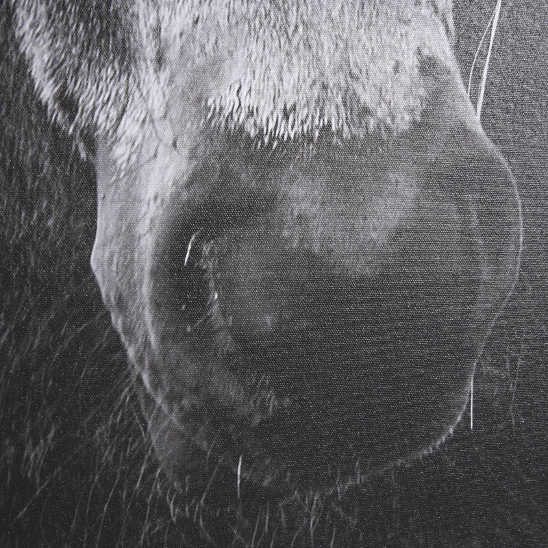 «The Foal» par Mercana Studio, toile encadrée texturée embellie à la main