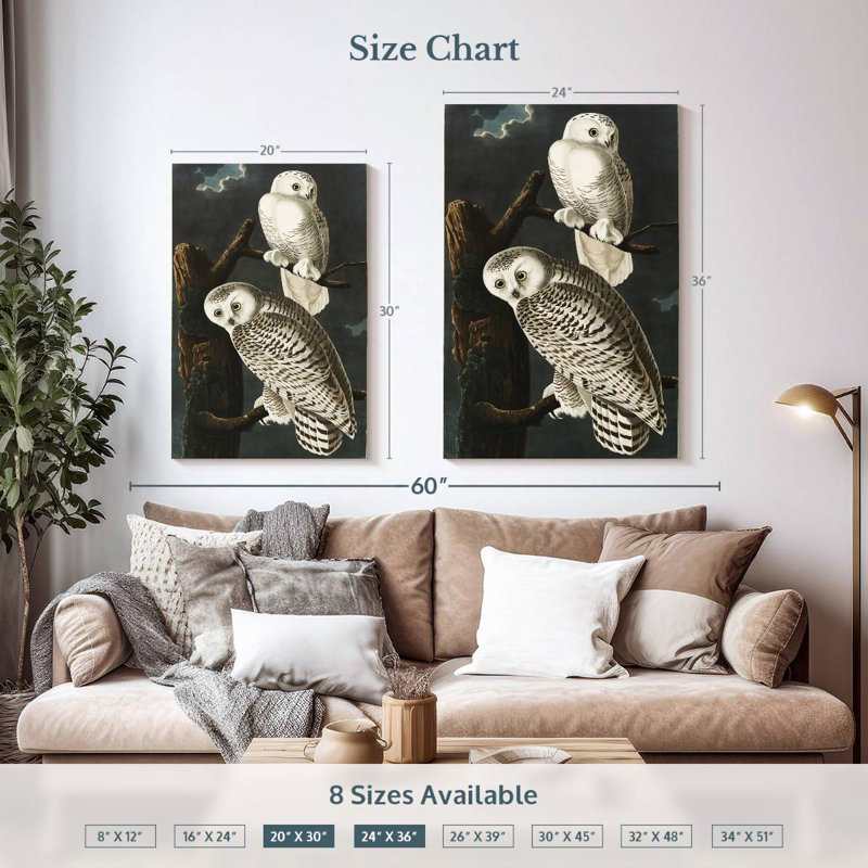 Brampt Snowy Owls, 36" H x 24" W