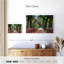 Sirci Savannah Alley-107671539