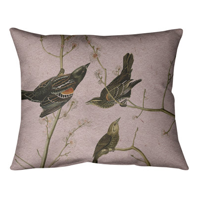 John James Audubon Reversible Throw Pillow