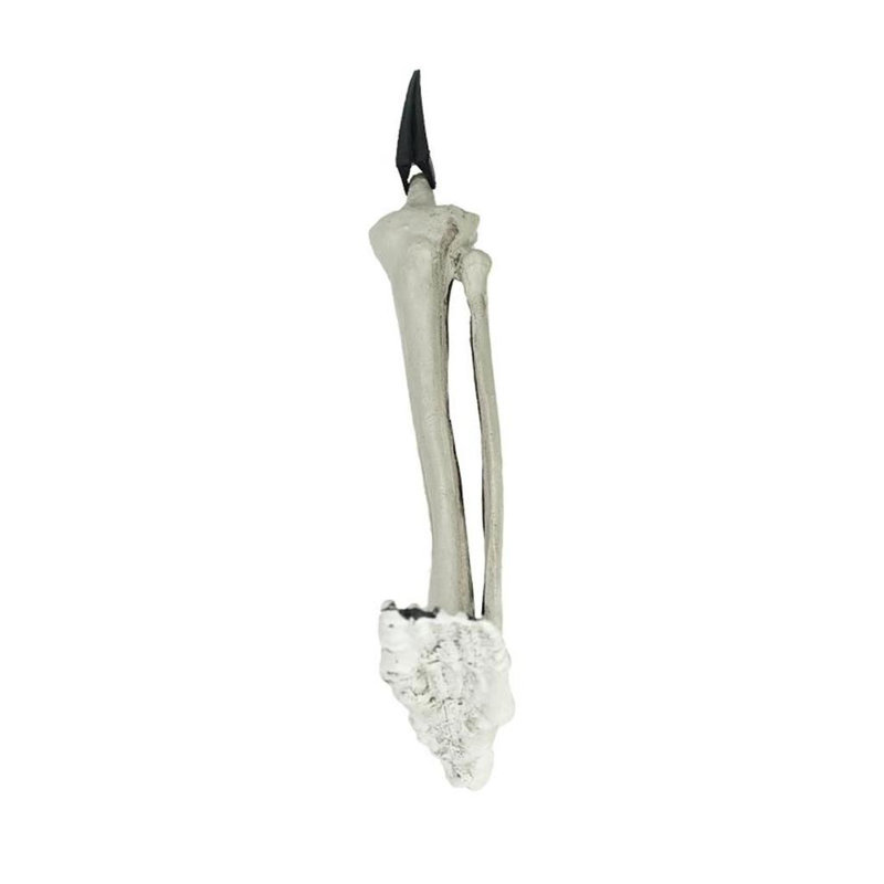 Ensemble de décoration squelette 5 pièces 5,5 "19,5"