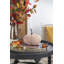 Bernie Patterned Pumpkin