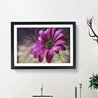 Purple Daisy - Framed Print