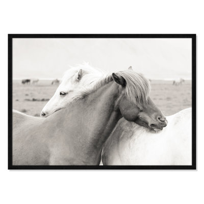 Melanie "Icelandic Meadow Horses" Print