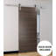 Sturdy Barn Door With Hardware | Planum 0010 Chocolate Ash | 6.6FT Rail Hangers Heavy Set | Modern Solid Panel Interior Doors-30" X 84"-Silver Rail-110274939-110274979
