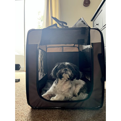 Niche escamotable pour chien 28 po - 3 portes, pliable, résistant à l'eau et lavable pour petits chiens / chats / lapins