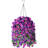 Daisy Arrangement-398277108