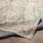 Colpitt Oriental Machine Woven Polyester Area Rug in Beige-2101400968