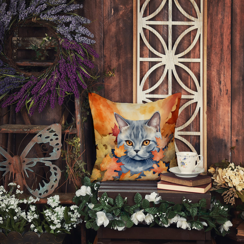 Coussin British Shorthair, Carré 14 po