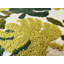 Tapis pour salle de bain Kyneton