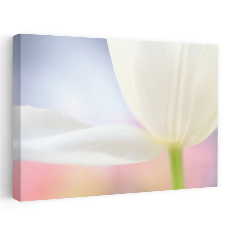 Solitaire by Karin - Wrapped Canvas Print, 101.6 cm H x 152.4 cm W