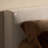 Karr Slipcover Bed-Savoy Parchment-Queen-1843345622